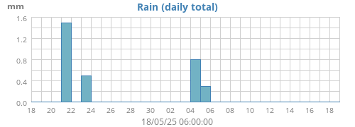 Rain